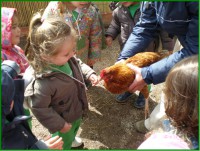 /album/fotogaleria/gallinanina-jpg/