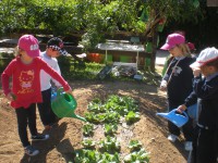 /album/fotogaleria/granja-escuelahuerto-jpg/